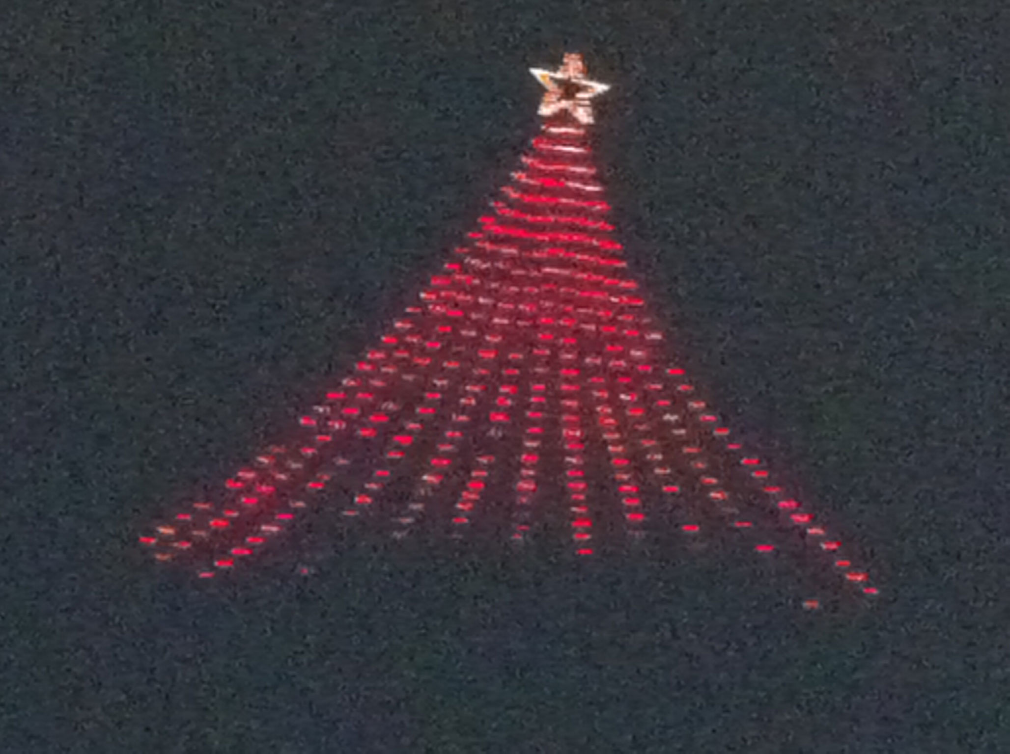 ���ɋP��100���c���[