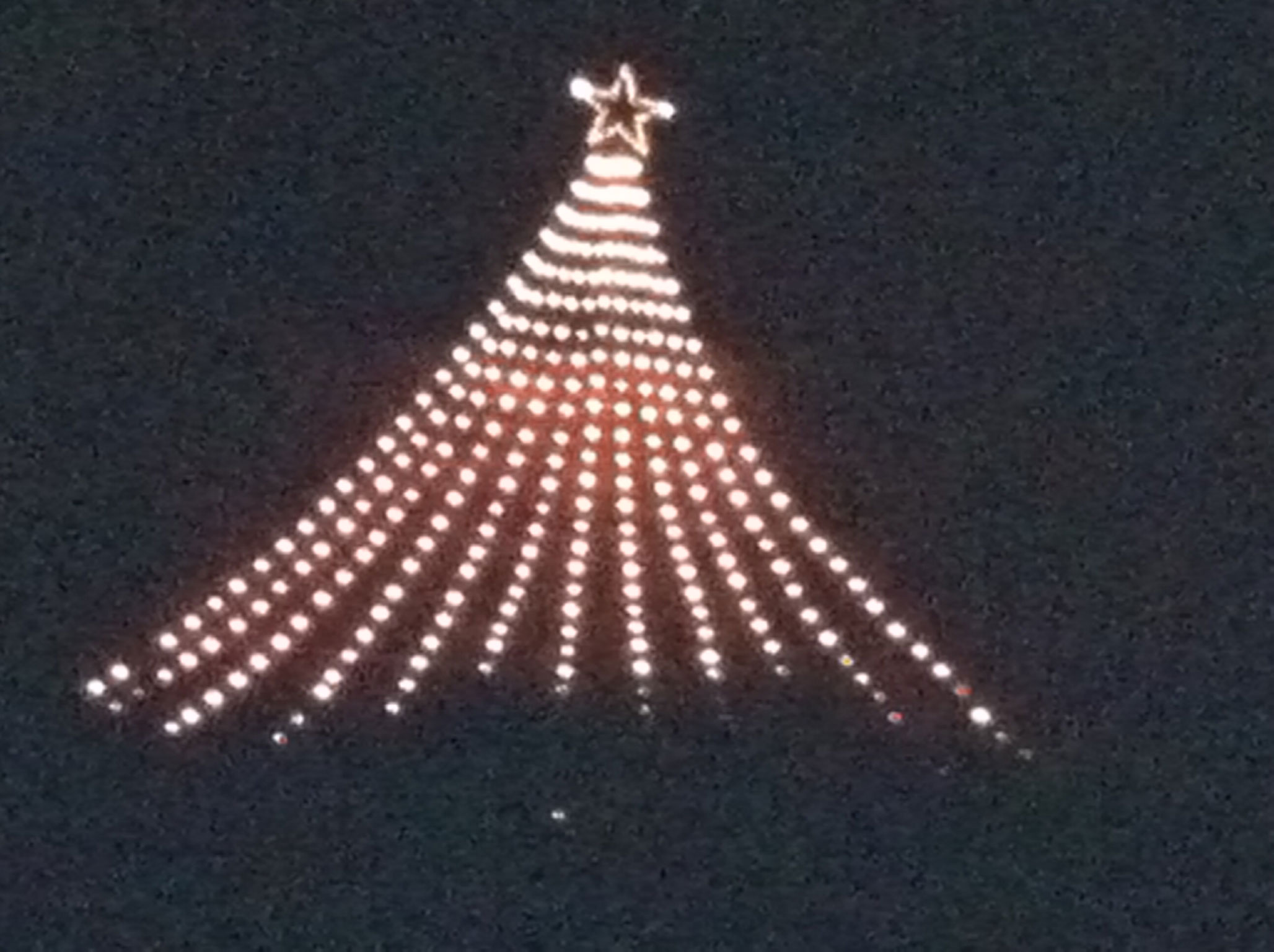 100���c���[